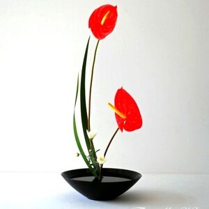 Elegant Red Anthurium Floral Arrangement